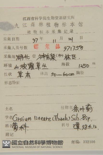 華薊藏品圖，第2張