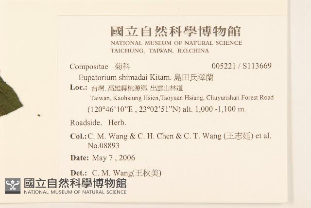 島田氏澤蘭藏品圖，第2張