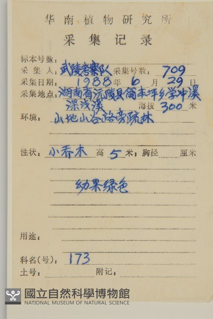 西南衛矛藏品圖，第2張