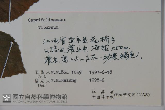 登錄號:S060069藏品圖，第2張