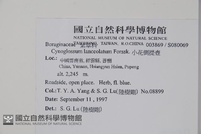 小花倒提壺藏品圖，第2張