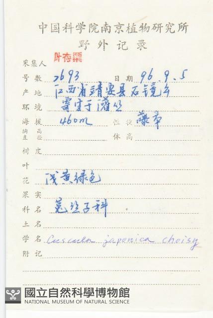 日本菟絲子藏品圖，第2張