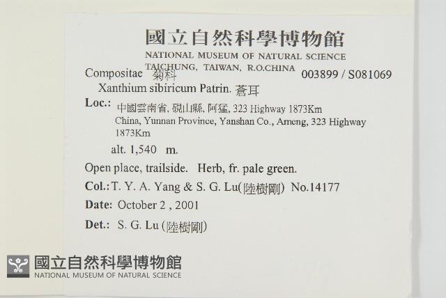 蒼耳藏品圖，第2張