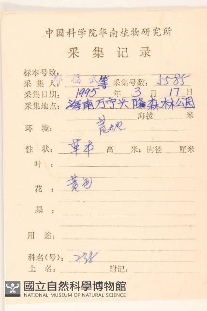 金鈕釦藏品圖，第2張