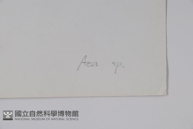 登錄號:S022769藏品圖，第2張