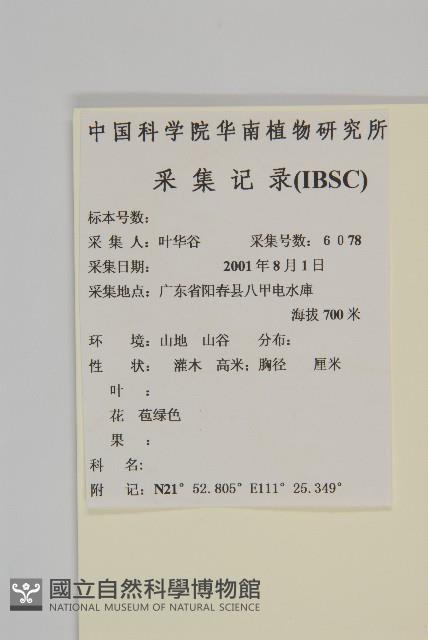 木犀假衛矛藏品圖，第2張