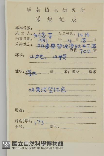 扶芳藤藏品圖，第2張