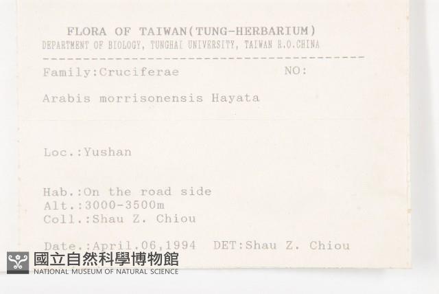 玉山筷子芥藏品圖，第2張