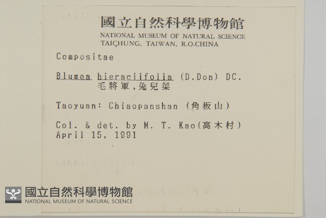 毛將軍藏品圖，第2張
