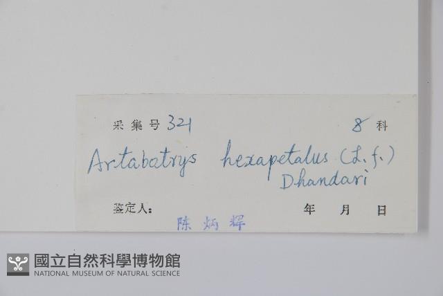 鷹爪花藏品圖，第2張