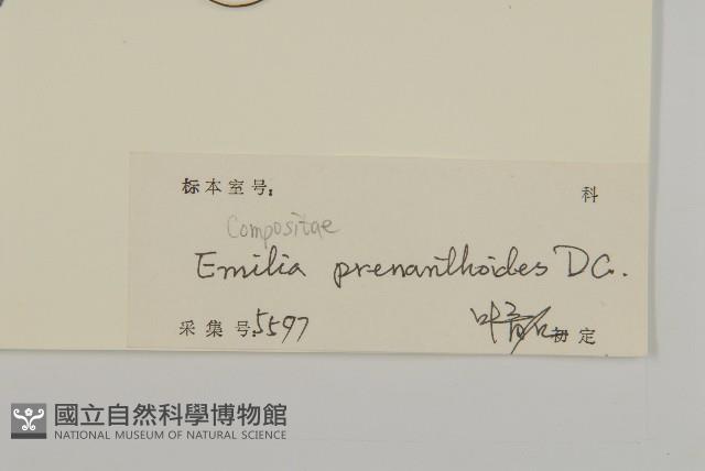 香蘭藏品圖，第2張