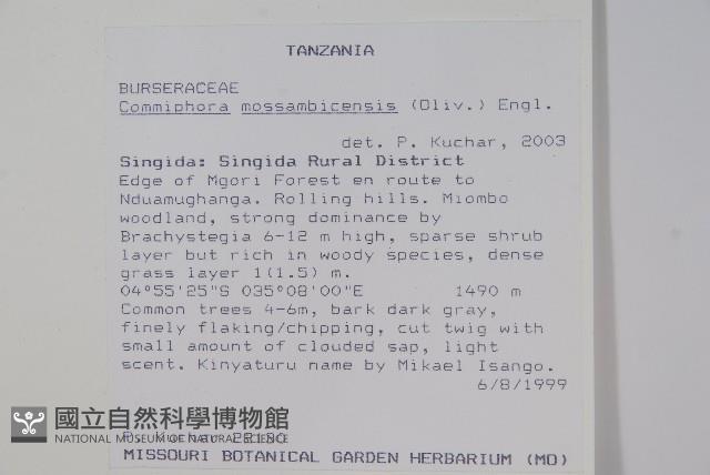 登錄號:S094269藏品圖，第2張