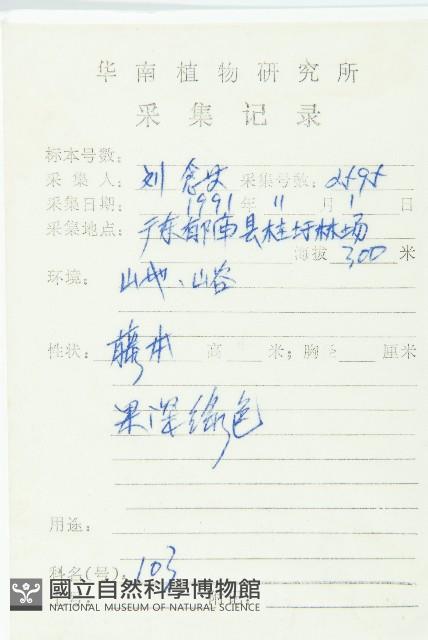 馬交兒藏品圖，第2張