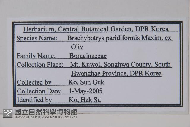 山茄子藏品圖，第2張