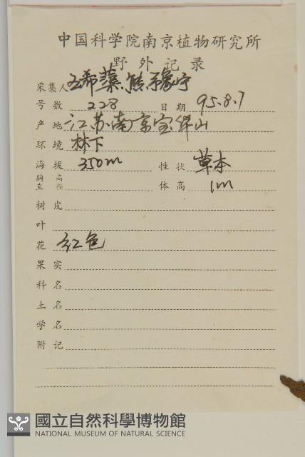 剪秋羅、剪秋紗、漢宮秋藏品圖，第2張