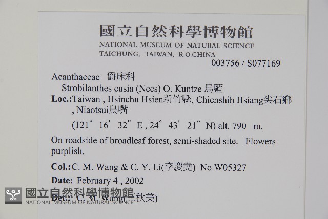 臺灣馬藍藏品圖，第2張