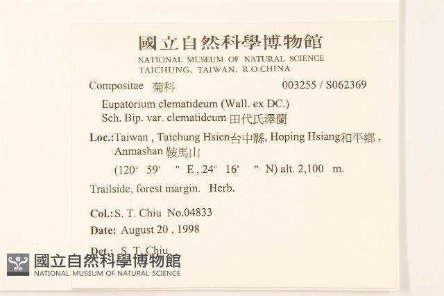 田代氏澤蘭藏品圖，第2張