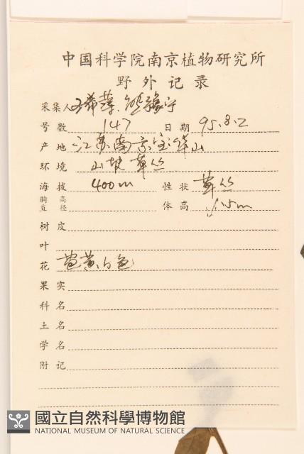 佩蘭、澤蘭藏品圖，第2張