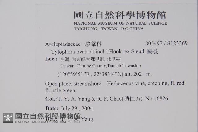 鷗蔓藏品圖，第2張