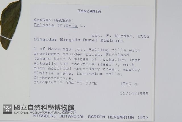 登錄號:S093369藏品圖，第2張
