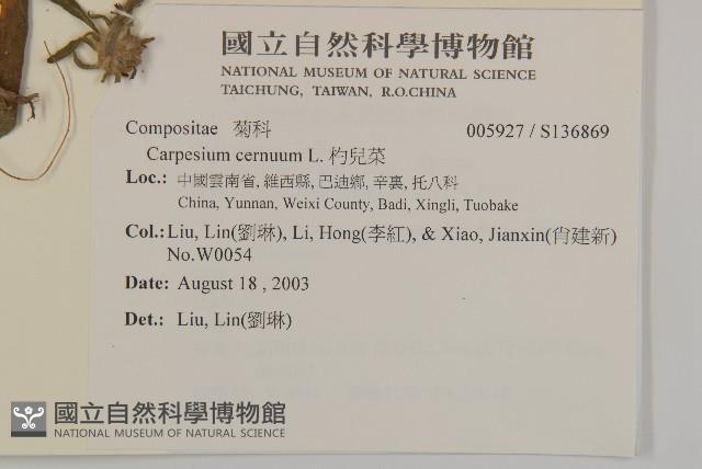 杓兒菜藏品圖，第2張