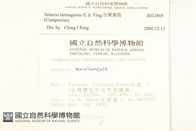 台東黃菀藏品圖，第2張