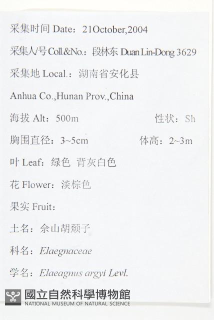 余山羊奶子藏品圖，第2張