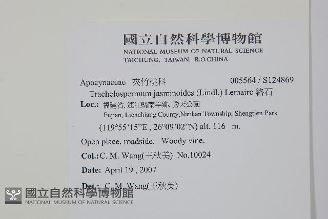 絡石藏品圖，第2張