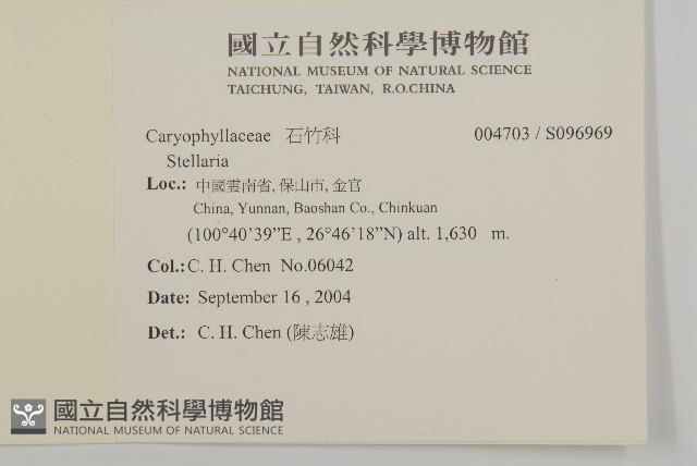 登錄號:S096969藏品圖，第2張