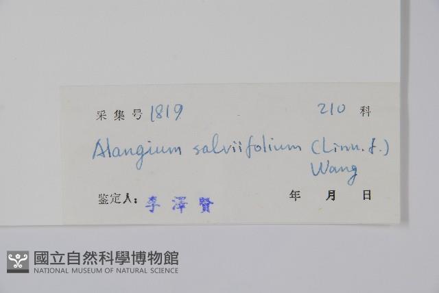 土壇樹藏品圖，第2張