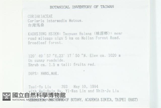 臺灣馬桑藏品圖，第2張