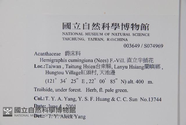 直立半插花藏品圖，第2張