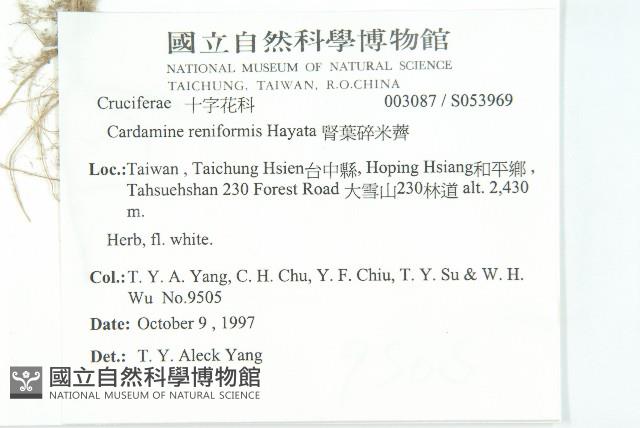 Accession Number:S053969 Collection Image, Figure 2, Total 2 Figures