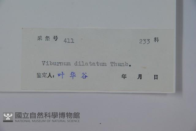 莢迷藏品圖，第2張