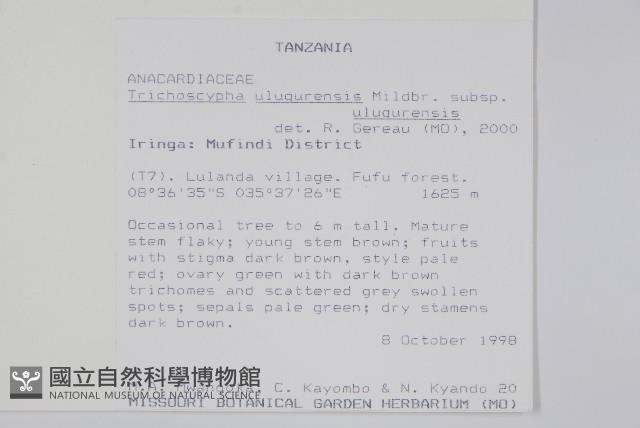 登錄號:S100569藏品圖，第2張