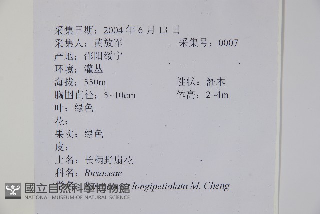 長葉野扇花藏品圖，第2張