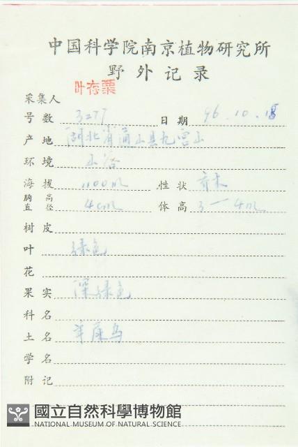 薯豆藏品圖，第2張