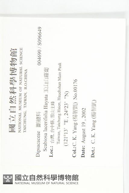 玉山山蘿蔔藏品圖，第2張