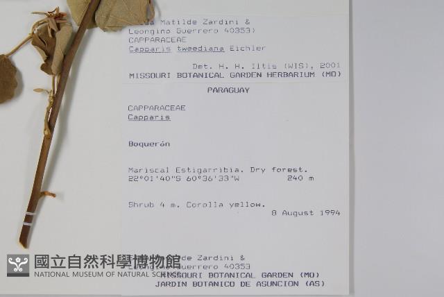 登錄號:S081649藏品圖，第2張