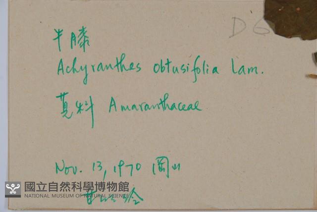 登錄號:S073649藏品圖，第2張