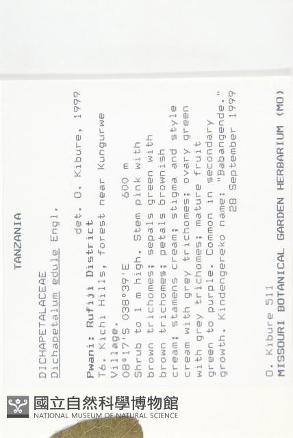 登錄號:S096049藏品圖，第2張