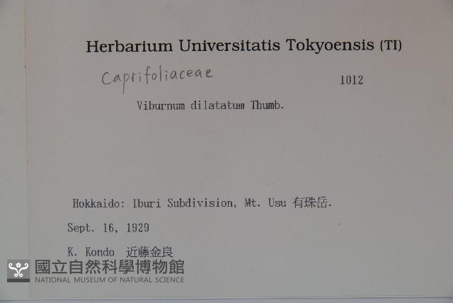 莢迷藏品圖，第2張