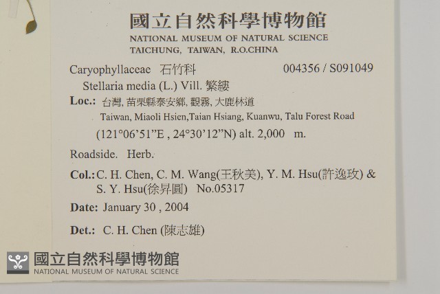 繁縷藏品圖，第2張