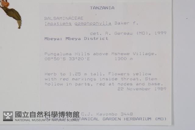 登錄號:S094049藏品圖，第2張