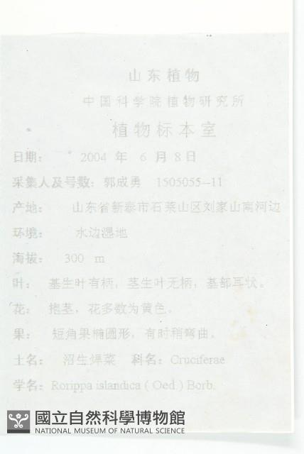 鳳花菜藏品圖，第2張