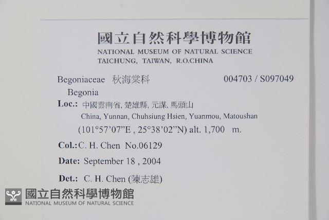 Accession Number:S097049 Collection Image, Figure 2, Total 2 Figures