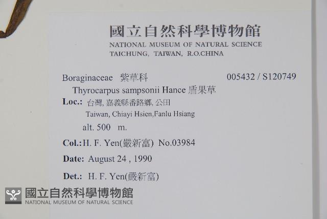 盾果草藏品圖，第2張