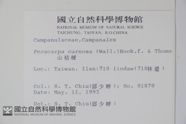 山桔梗藏品圖，第2張