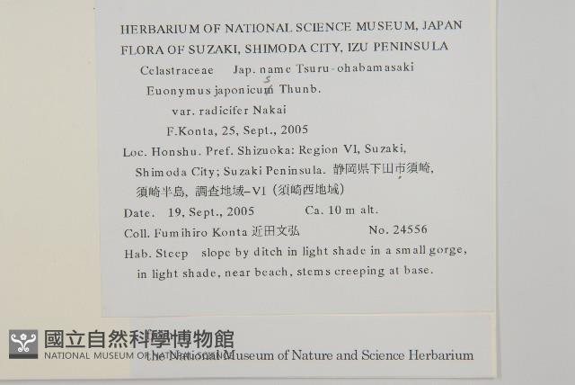 登錄號:S130749藏品圖，第2張