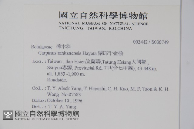 蘭邯千金榆藏品圖，第2張